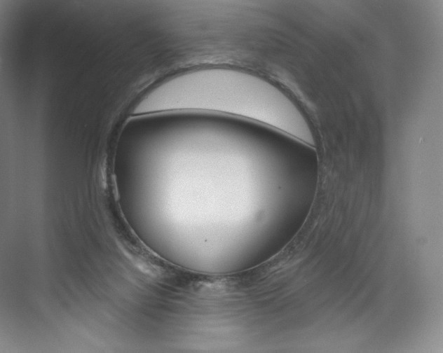 X0000073930068200608111036