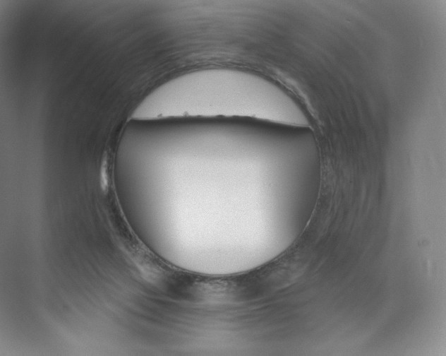 X0000073930069200608111036