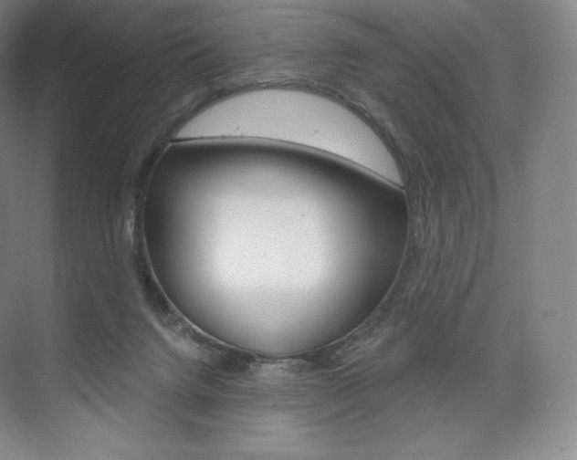 X0000073930072200608111036