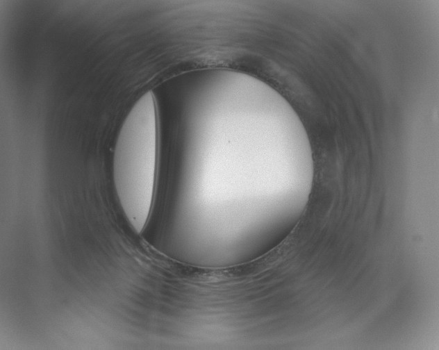 X0000073930075200608111036