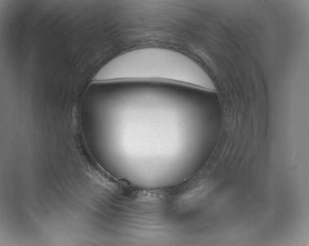 X0000073930077200608111037