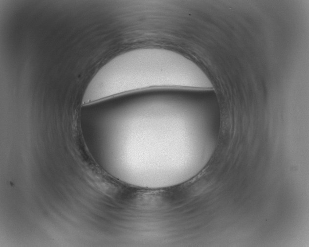 X0000073930078200608111037