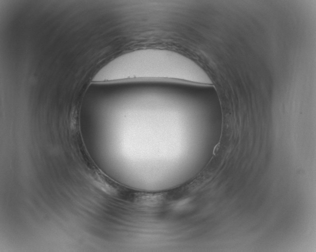 X0000073930081200608111037