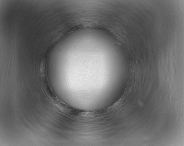 X0000073930082200608111037