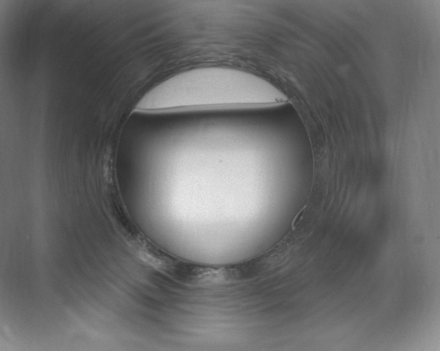X0000073930083200608111037