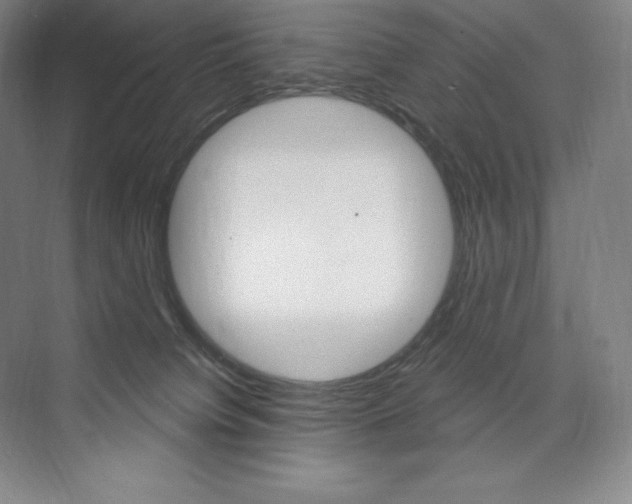 X0000073930084200608111037