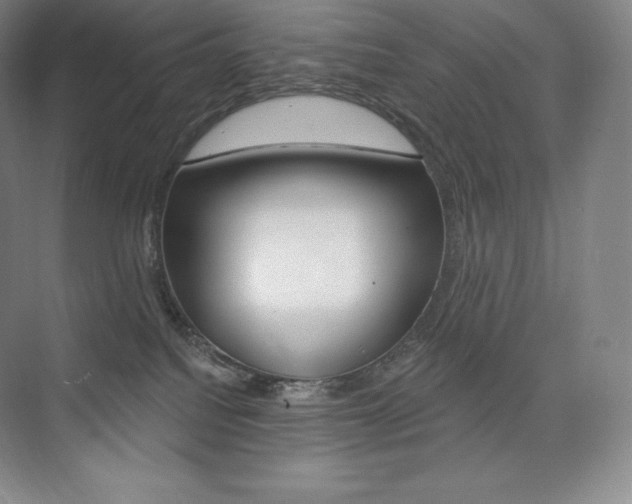 X0000073930088200608111037
