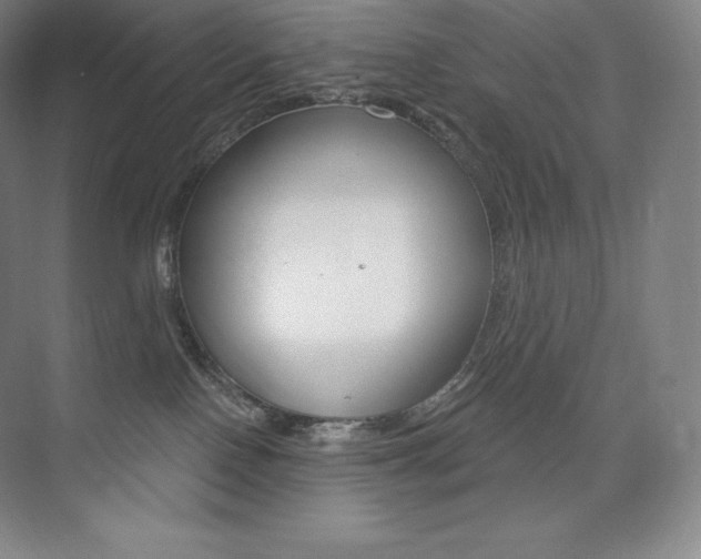 X0000073930090200608111037