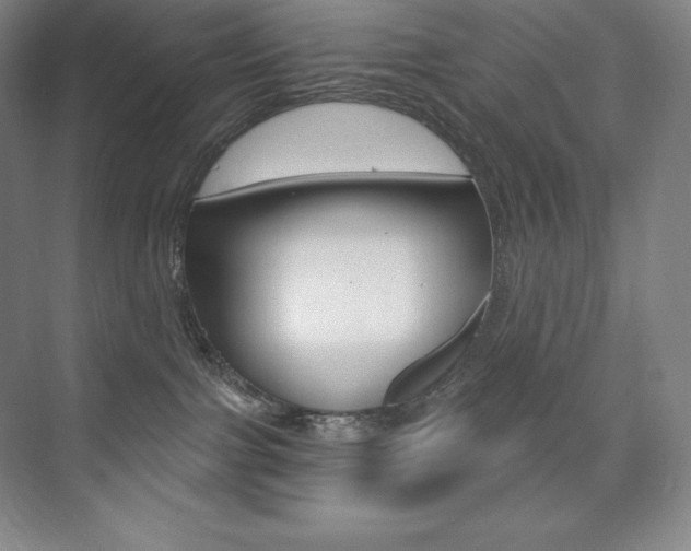 X0000073930091200608111037