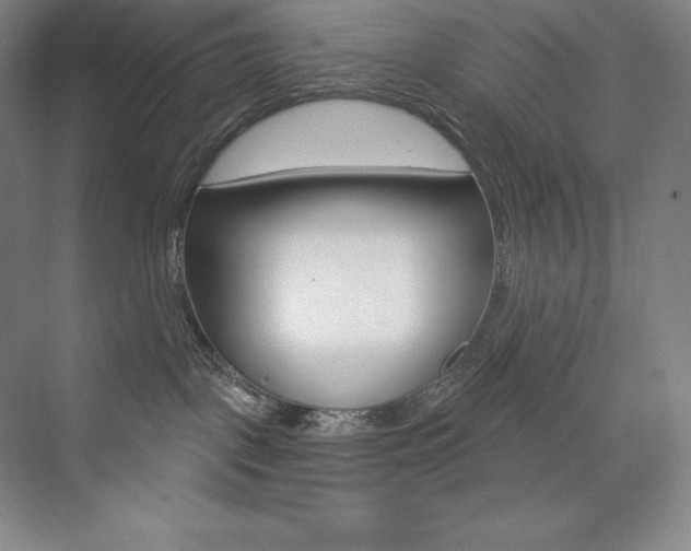 X0000073930093200608111037