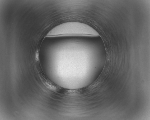 X0000073930095200608111037