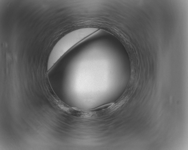 X0000073930096200608111037