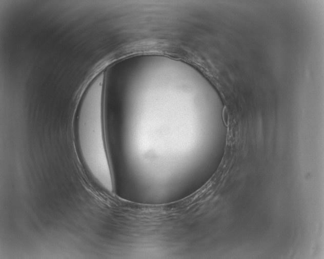 X0000073930099200608111036