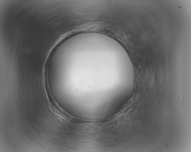 X0000073930100200608111036