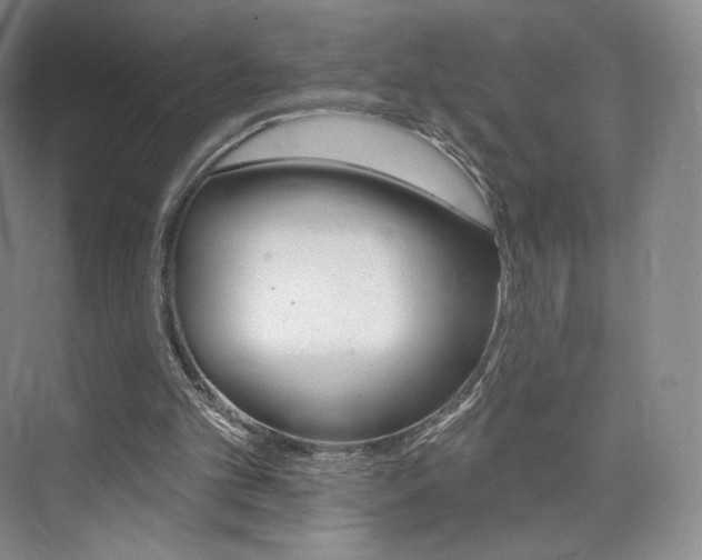 X0000073930101200608111036