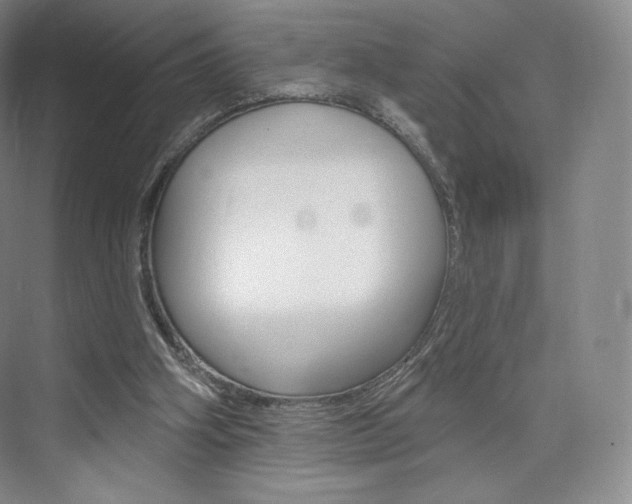 X0000073930106200608111036