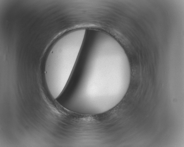 X0000073930112200608111036