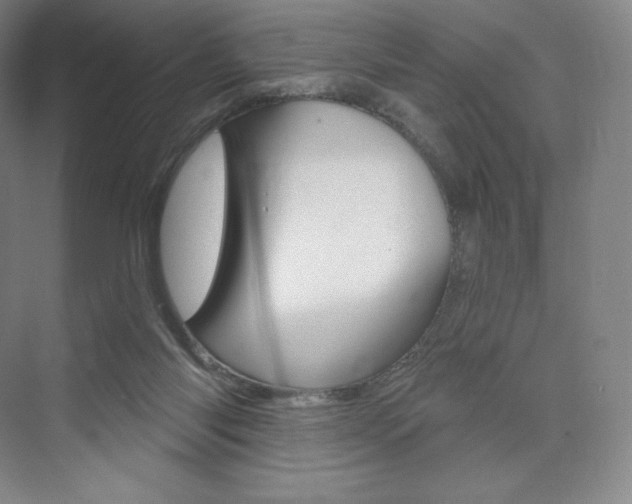 X0000073930118200608111036