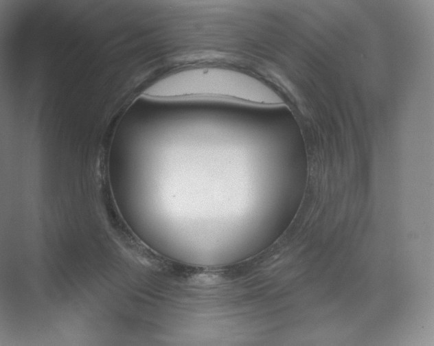 X0000073930119200608111036