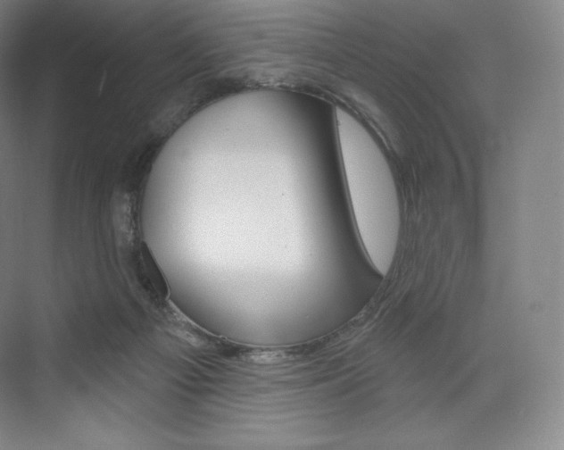 X0000073930121200608111036