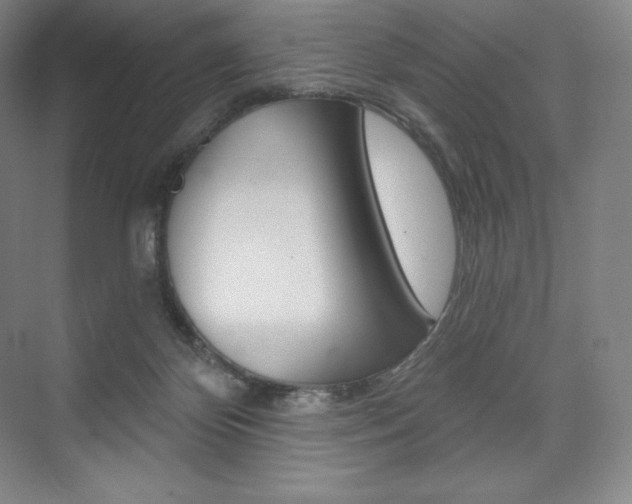 X0000073930124200608111036