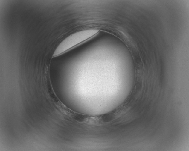 X0000073930125200608111036
