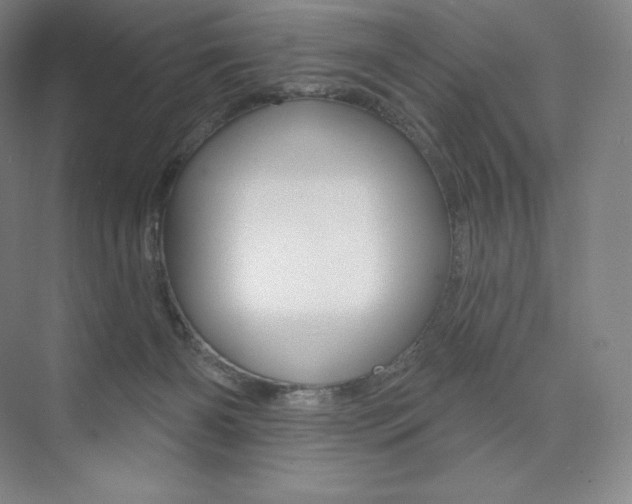 X0000073930126200608111036