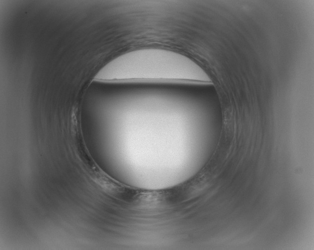 X0000073930127200608111036