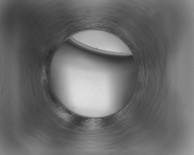 X0000073930128200608111035