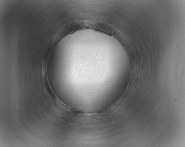 X0000073930129200608111035