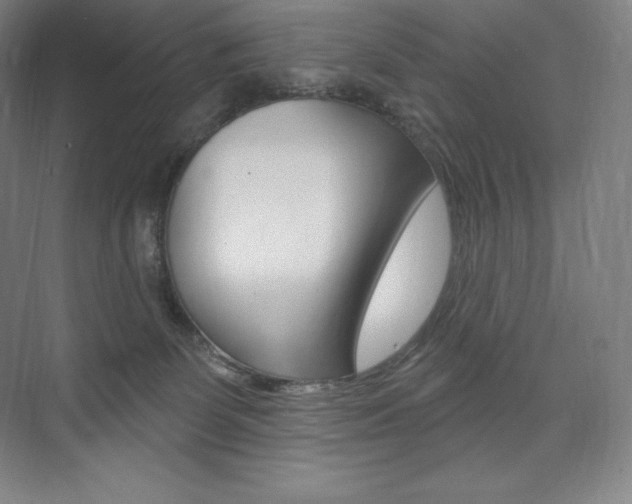X0000073930131200608111035