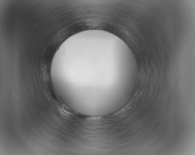 X0000073930136200608111035
