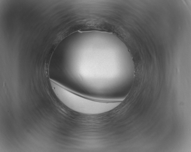 X0000073930137200608111035