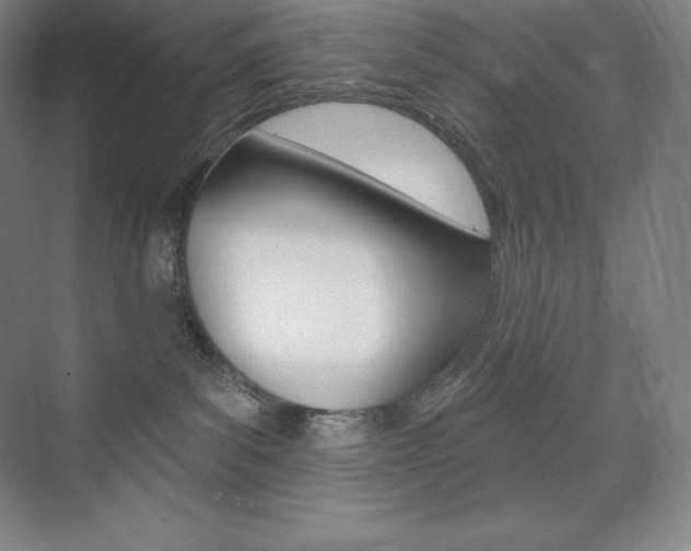 X0000073930139200608111035
