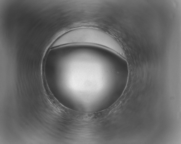 X0000073930148200608111034