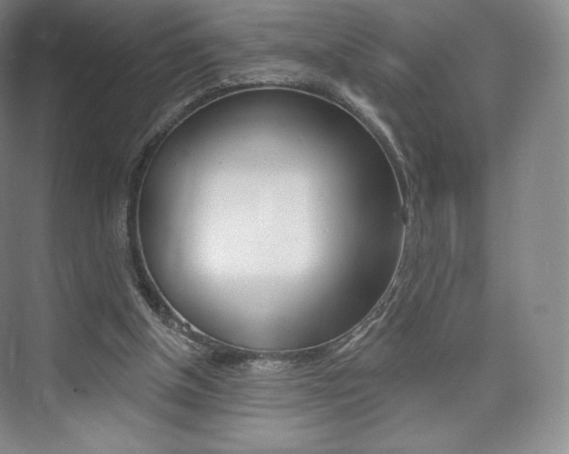 X0000073930154200608111035