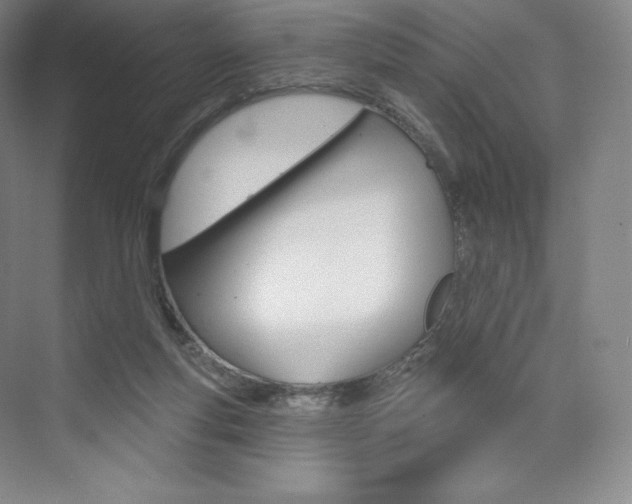 X0000073930163200608111035