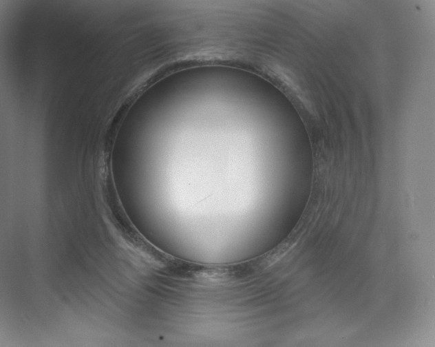 X0000073930164200608111035