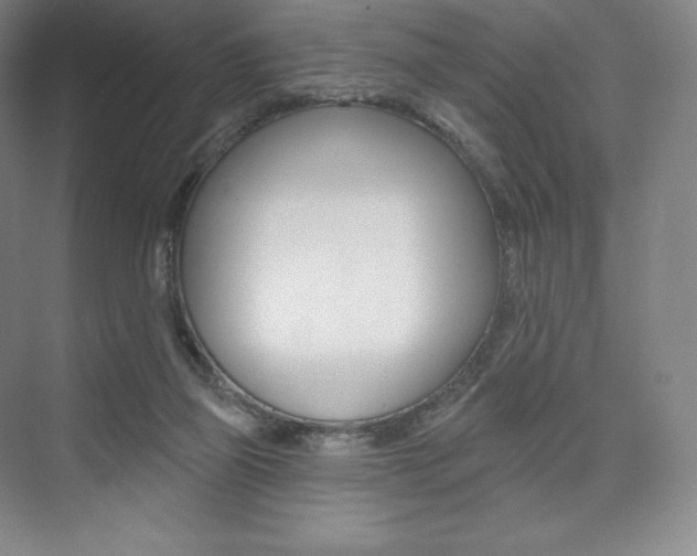 X0000073930165200608111035