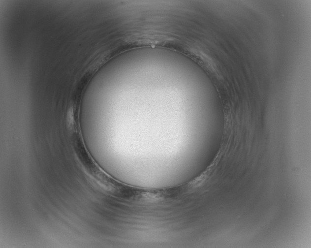 X0000073930166200608111035