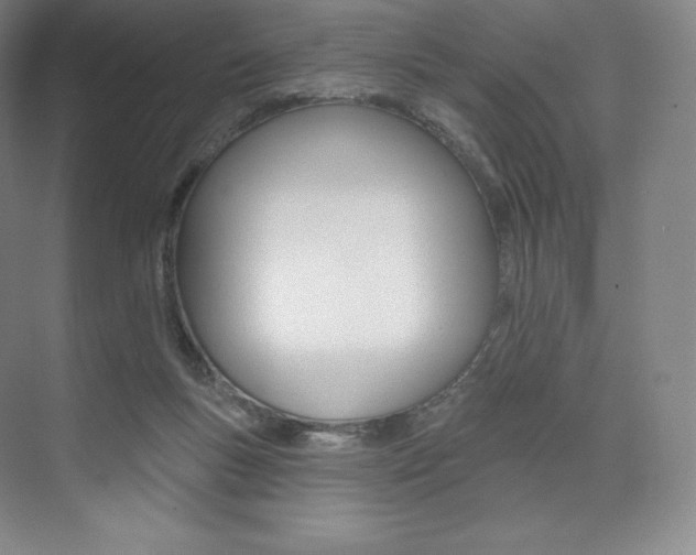 X0000073930167200608111035