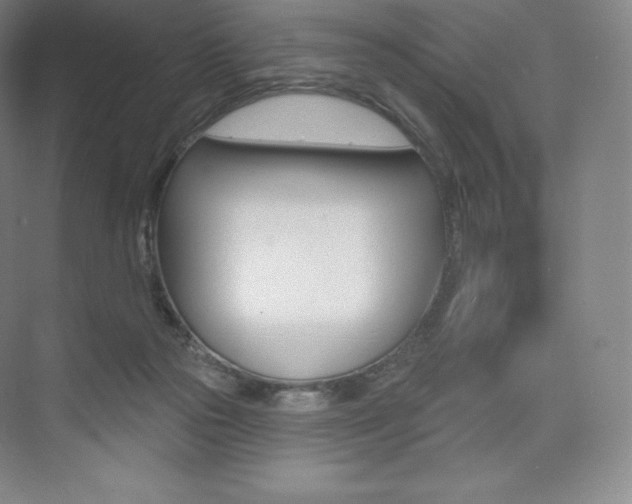 X0000073930169200608111035