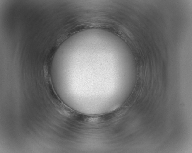 X0000073930173200608111035