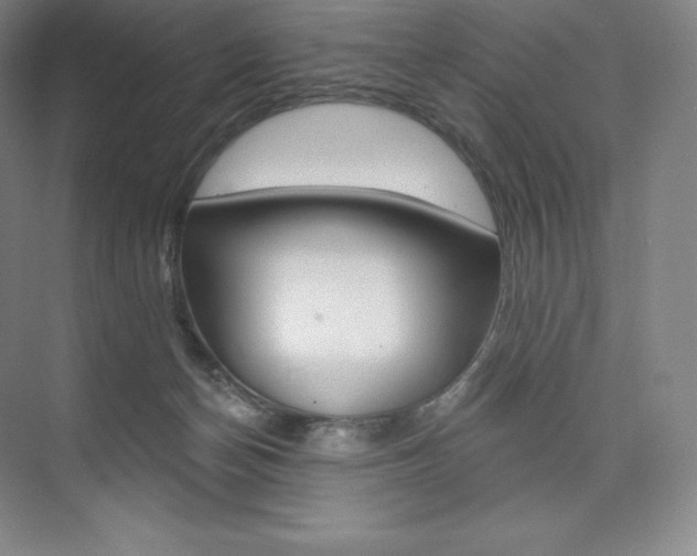 X0000073930174200608111035