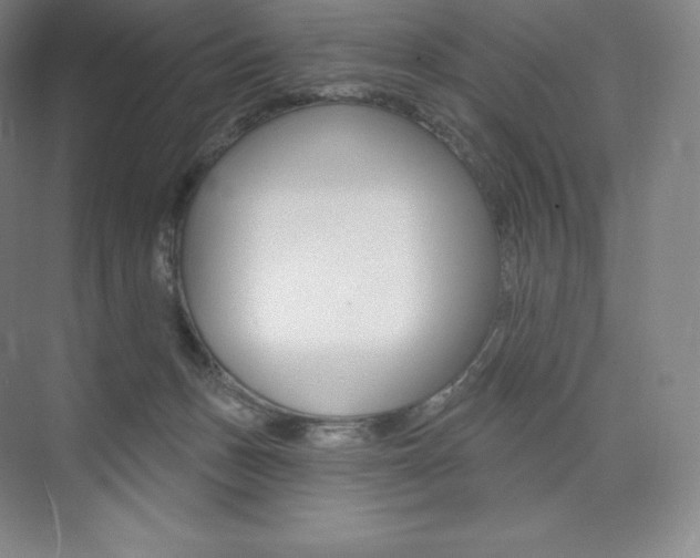 X0000073930175200608111035