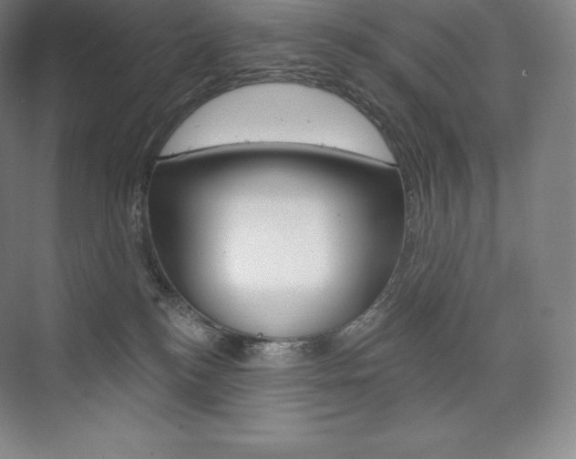 X0000073930184200608111035
