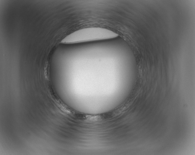 X0000073930185200608111035