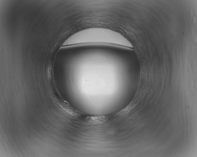X0000073930188200608111035