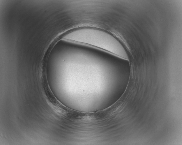 X0000073930204200608111034