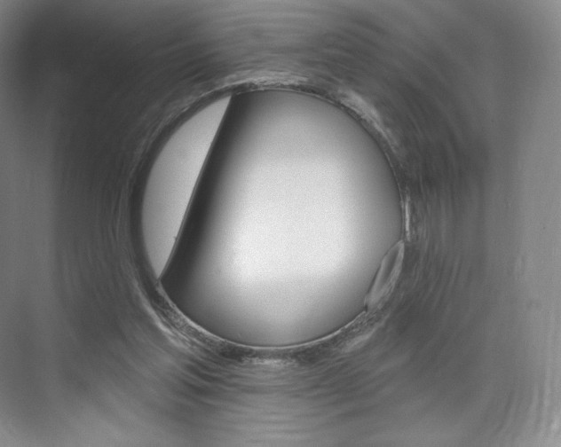 X0000073930205200608111034
